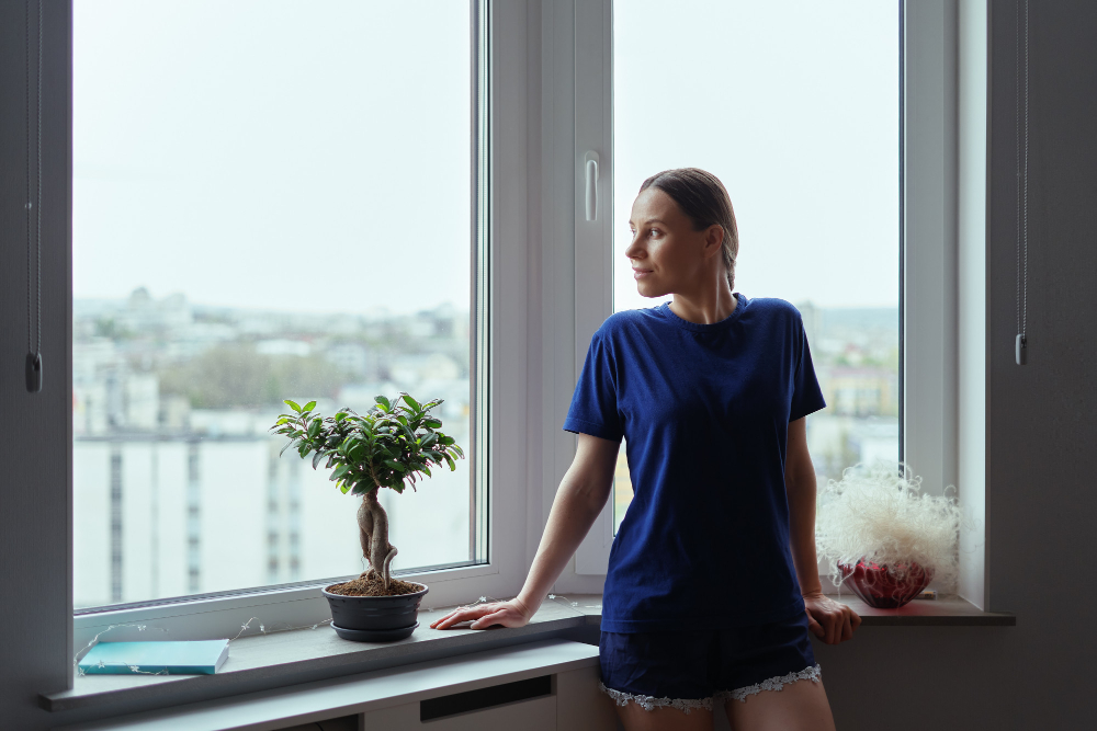 Santa Fe Bay & Bow Windows